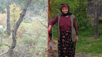 Çanakkale'de kaybolan Alzheimer hastası kadın, su havuzunda ölü bulundu