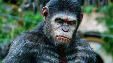 Maymunlar Cehennemi: Şafak Vakti filminin konusu ne? Oyuncu kadrosunda kimler yer alıyor?