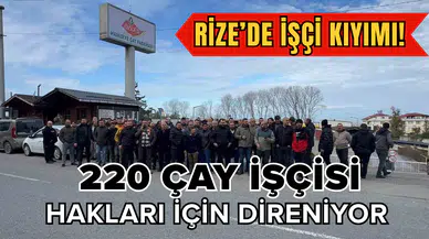 Rize’de işçi kıyımı! 220 çay işçisi hakları için direniyor