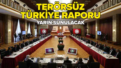 Rapor 9 ana başlıktan oluşuyor