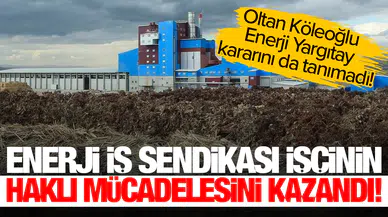 Enerji İş Sendikası işçinin haklı mücadelesini kazandı: Oltan Köleoğlu Enerji Yargıtay kararını da tanımadı!