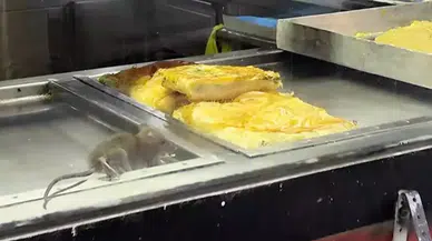 İzmir’de hijyen skandalı: Böreklerin üzerinde fare gezdi