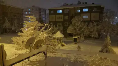 Bitlis'te bazı yollar, ağır vasıta trafiğine kapatıldı