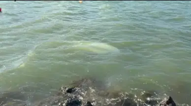 Karadeniz’de şiddetli fırtına: Samsun’da 3 tekne battı