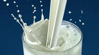 Yüzlerce kutu süt geri toplatılıyor: İçerisinde temizlik maddesi tespit edildi