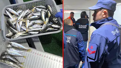 Yasal sınırın altındaki balıklara el konuldu!