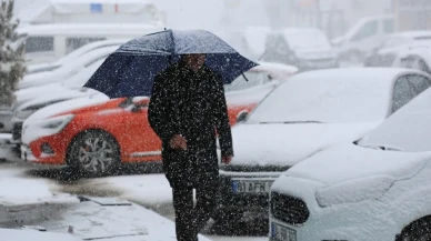 Ardahan-Şavşat kara yolu, yoğun kar nedeniyle tır geçişine kapandı