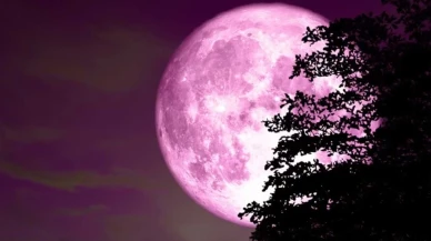 Pembe Ay nedir? Pembe Ay ne zaman görülecek?