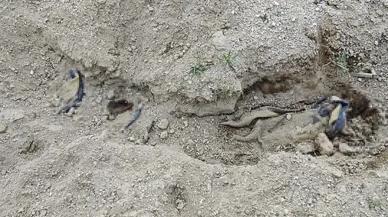 Nevşehir'de kan donduran olay: Battaniyeye sarılı erkek cesedi bulundu