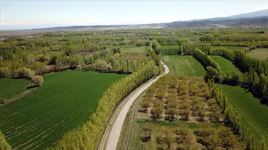 2B arazi nedir, kimler alabilir? Orman sınırı dışına çıkarılan arazilerle ilgili merak edilenler