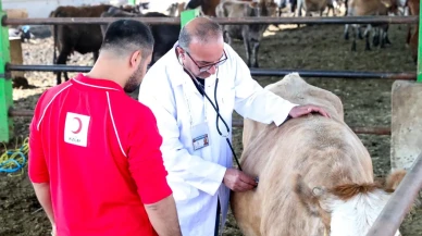 Kızılay kurban vekalet bedellerini açıkladı: Fiyatlar ne kadar oldu?