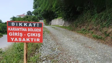 Balıkesir'de 15 mahalle şap nedeniyle karantinaya alındı!