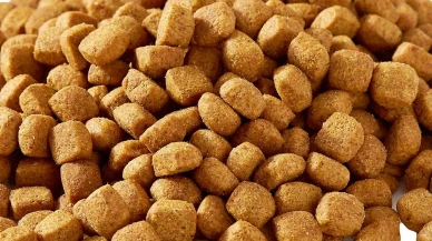 İzmir’de 14 ton sahte kedi-köpek maması ele geçirildi!