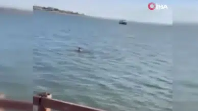 Mogan Gölü’nde şaşkınlık yaratan anlar: “Kurtuldum” diye bağırarak göle atladı!