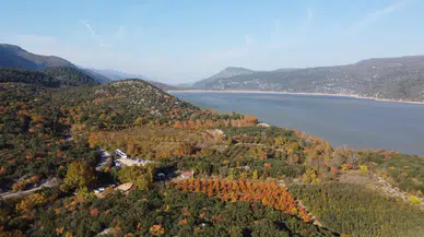 Isparta’da ormanlara girişler yasaklandı