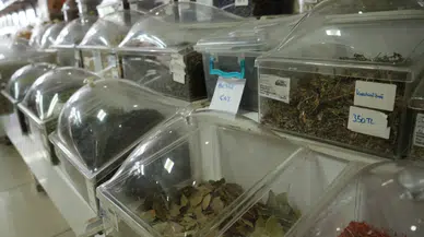 Yazın zayıflamak isteyenler dikkat! Beyaz çay, yeşil çaydan daha çok yağ yakıyor