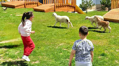 Eskişehir’de ezber bozan proje: Anaokulunda kuzularla eğitim dönemi başladı