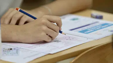 2025 AYT’de mimikri sorusu gündem oldu: Mimikri nedir, ne anlama geliyor?