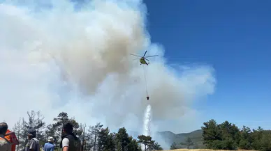 Sakarya'da orman yangını! Alevler yükseldi