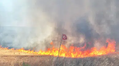 Edirne'de yangın: Römorktan tarım arazilerine sıçradı!