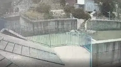 Artvin'de park halindeki kamyon dereye düştü: O anlar kamerada!
