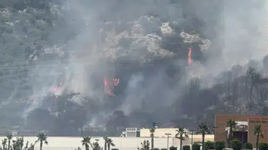 Bodrum'da korkutan yangın