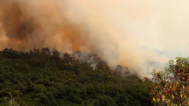 Suriye'de Başar Esad'a ait mühimmat deposunda yangın çıktı