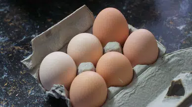 Yumurta fiyatları değişti: Küçük boy yumurtaya büyük zam!