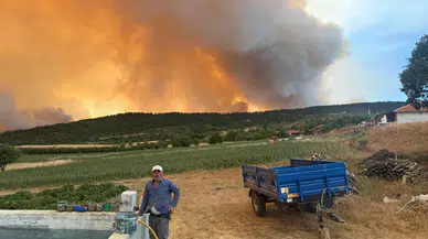 Sakarya-Bilecik orman yangını son durum