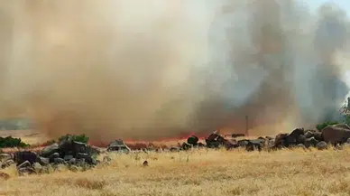 Şanlıurfa'da korkutan yangın: 50 dönümlük buğday ekili arazi alev alev yandı