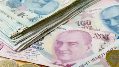 E-Devlet'te adınıza para yatmış olabilir!
