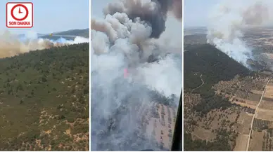 İzmir Foça'da orman yangını!