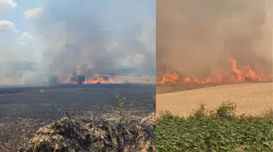 Çanakkale'de yangın: Tarım arazi alev alev yandı!