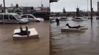 Yatakla suya açılan vatandaş gündem oldu! Trabzon’da ilginç görüntüler