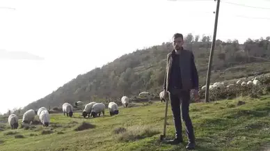 Kene vakası can almaya devam ediyor