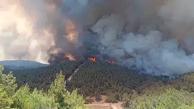 İzmir Foça'da orman yangını!