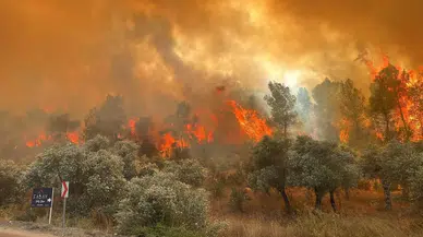 Eskişehir orman yangınından acı haber!