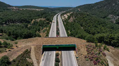 İzmir-Çeşme yolu neden kapandı, ne zaman açılacak?