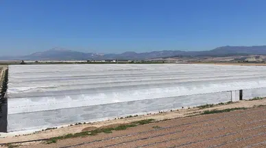 Denizli'de zehirlenme şüphesi: Serada çalışan 26 işçi hastaneye kaldırıldı