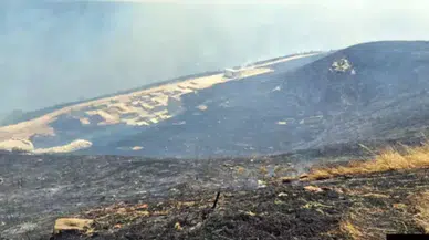 Tekirdağ'da anız yangını: Ormana da sıçradı