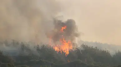 Tekirdağ'da orman yangını: Geniş alana yayıldı, Çanakkale'ye de sıçradı