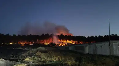 Balıkesir'de orman yangını: Ekiplerin müdahalesi sürüyor