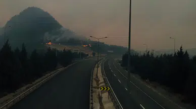 Bilecik’te orman yangını büyüyor: D-650 karayolu çift taraflı ulaşıma kapandı