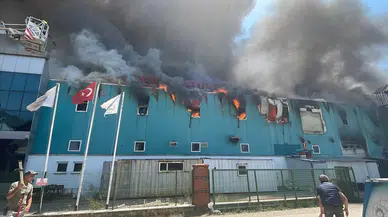 Bolu'da medikal fabrikasında yangın!