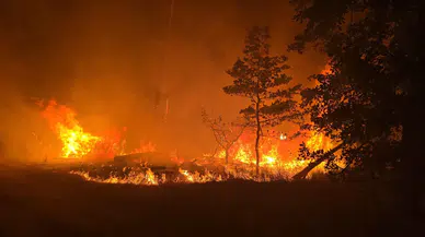 Almanya’daki orman yangınları kontrol altına alınamıyor: 3 eyalet alarm durumunda