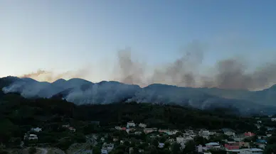 Hatay'da orman yangını: Ekiplerin müdahalesi sürüyor!
