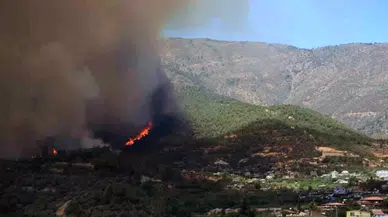 Hatay'da orman yangını: Müdahale sürüyor