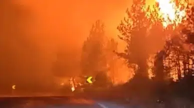 Bursa'da korku dolu anlar: Ekipler, alevlerin arasında kaldı!