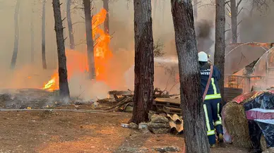 Antalya orman yangını son durum