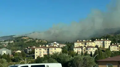 Kocaeli'nin Karamürsel ilçesinde orman yangını başladı